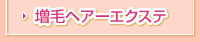 増毛ヘアーエクステ